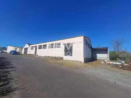 achat local professionnel 895m² cholet 49300