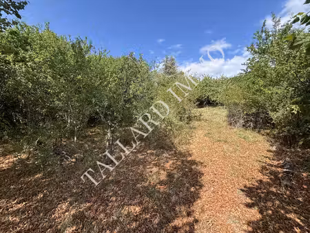 achat terrain 1 687m² tallard 05130