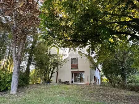 vente maison 8 pièces 250 m² neuvy-saint-sépulchre (36230)