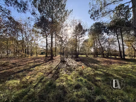 achat terrain 1 533m² gujan mestras 33470
