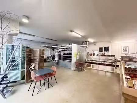 vente locaux professionnels à chatillon-sur-indre (36700)  269 500 €