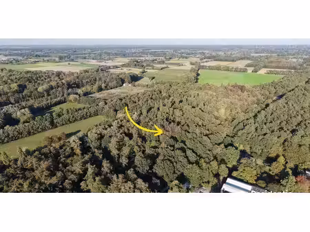 sous option - bois à vendre à damme