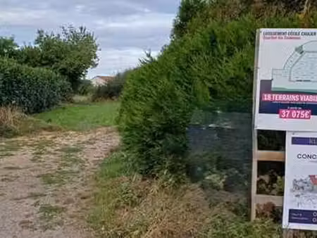 vente terrain à luçon (85400) : à vendre / luçon
