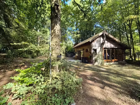 un chalet avec pièce d'eau et bois