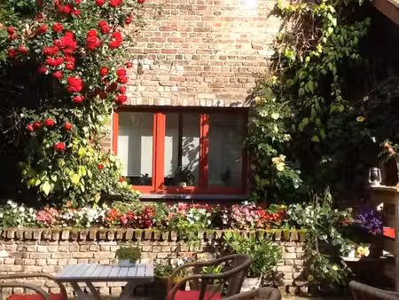 studio meublée à hex