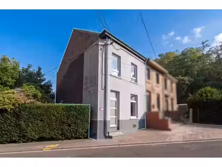 maison entièrement rénovée 4 chambres  terrasse & jardin