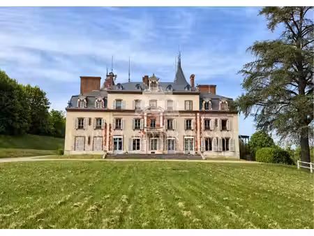 château à vendre à champcevrais