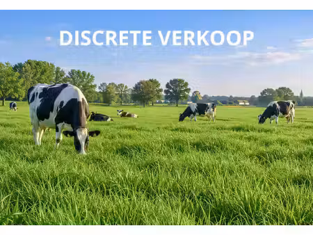 grond te koop in ruiselede