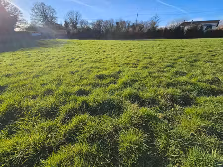 terrain constructible
