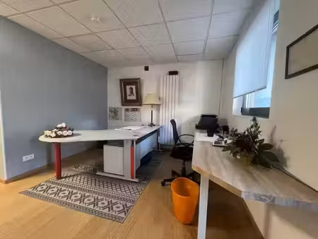 immobilier professionnel à louer pfastatt