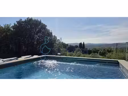 maison avec piscine et jardin saint-jean-de-maruejols-et-avejan (30)