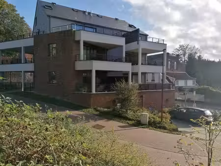 charmant appartement avec terrasse  parking privatif et cave