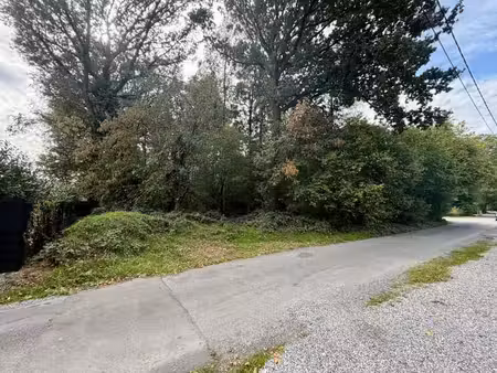 superbe terrain plat et arboré sur 18 ares