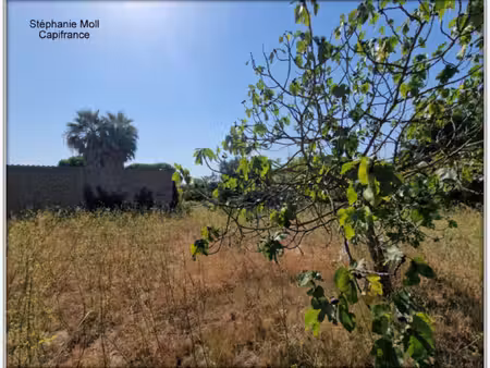 terrain à vendre de 2 958 00 m² narbonne (11)