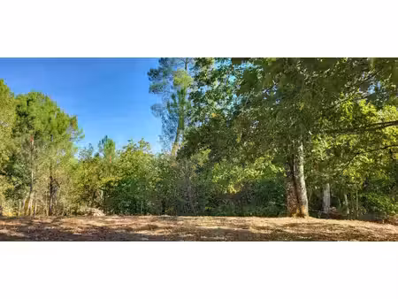 terrain constructible arboré et boisé