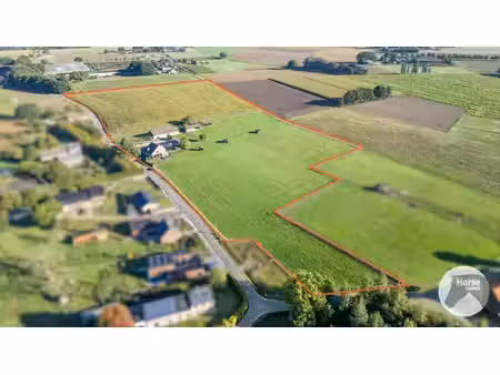 bree - charmante villa op 6ha54 met stalgebouw