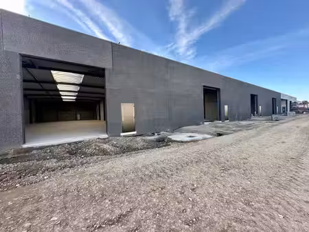 nieuwbouw loodsen te huur in gavere nabij n60
