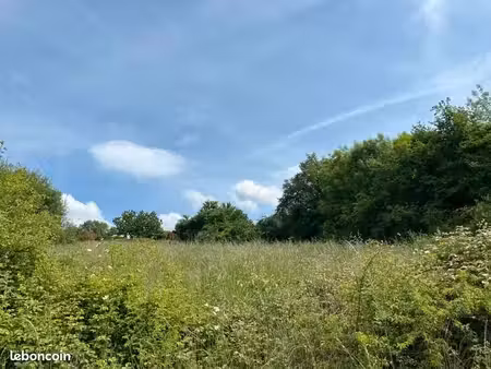terrain 4 800 m² vignols