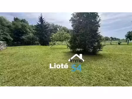 vente terrain 1100 m² à crévéchamps (54290)  79 000 €