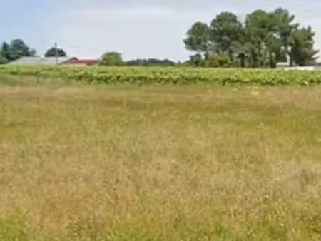 vente terrain 1100 m² à cavignac (33620)  69 900 €