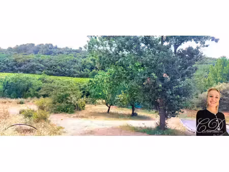 vue vignes