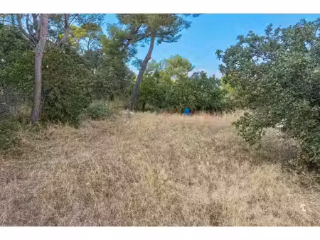 le dominant - terrain à batir de 1114m² - villa de 170m² - pc obtenu et purgé - 13013 les 