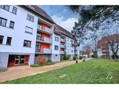 appartement à louer marlenheim