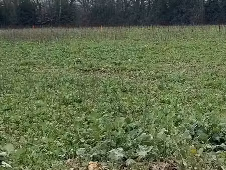 vente terrain 750 m² à la bernerie-en-retz (44760)  194 000 €