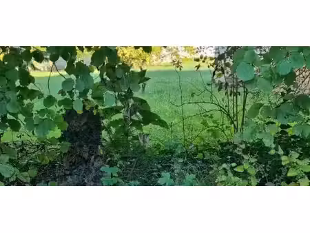 vente terrain 400 m² à parcieux (01600)  165 000 €