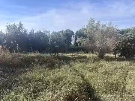 vente terrain 880 m² à puget-sur-argens (83480)  200 000 €