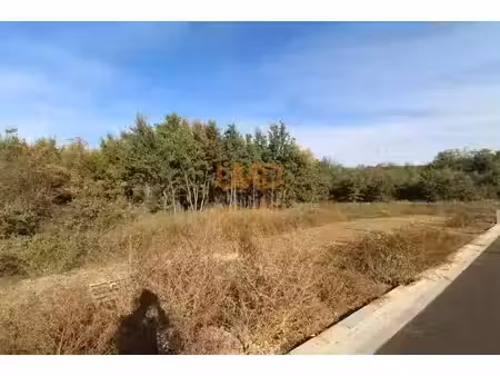vente terrain 1167 m² à rigarda (66320)  99 000 €