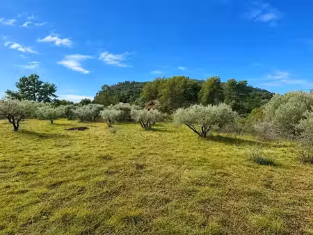 vente terrain 500 m² à gonfaron (83590)  125 000 €