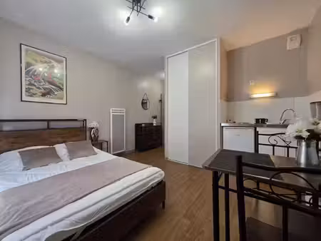 location appartement 1 pièce 20 m² à villeurbanne (69100)