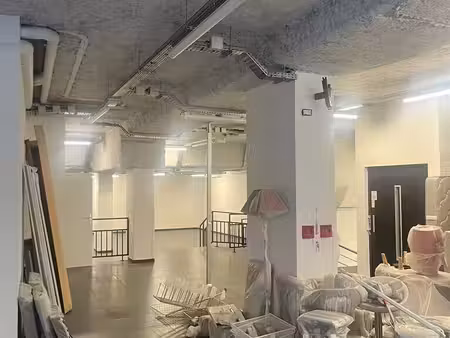 location commerce paris 75018 380m²