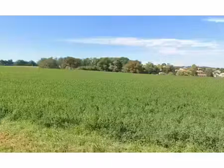 vente terrain 1030 m² à auzielle (31650)  220 000 €