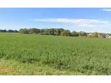 vente terrain 1030 m² à saint-orens-de-gameville (31650)  220 000 €