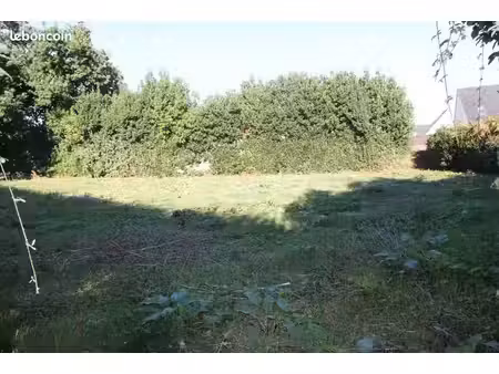 terrain constructible