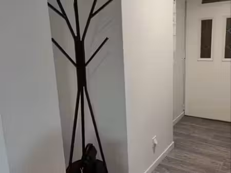bel appartement f2