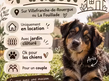 recherche maison avec jardin