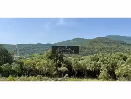 mas lagrasse (11)
