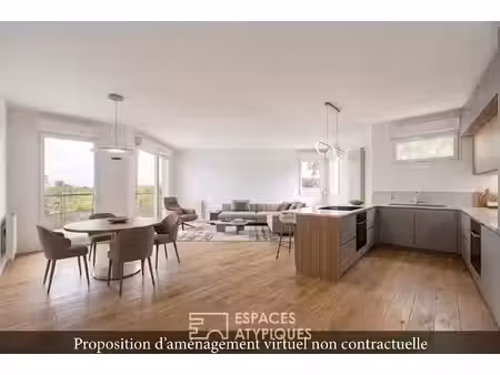 appartement avec terrasse vue sur la saône