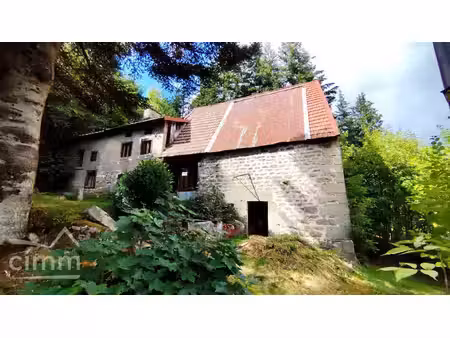 maison au milieu des bois