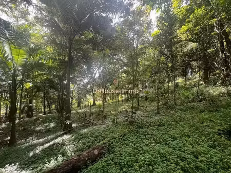 terrain constructible neuf à vendre