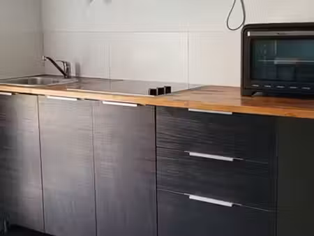 agréable t2 duplex et cour privative proche parc hôtel ville