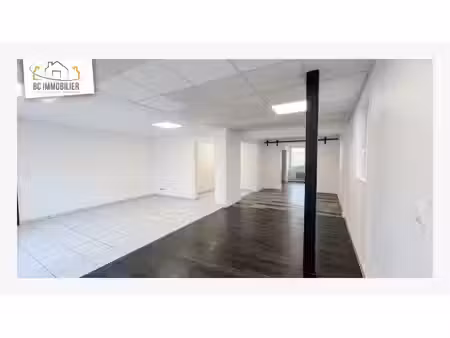 immobilier professionnel à louer ferney-voltaire