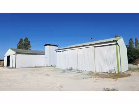 local d'activité 920 m2 + entrepôt 130 m2
