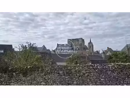 beaugency  centre ville