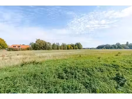 terrain