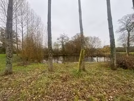 vente terrain à moon-sur-elle (50680) : à vendre / 24037m² moon-sur-elle