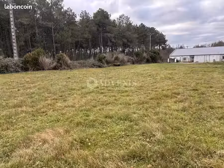 terrain 3 000 m² monce en belin